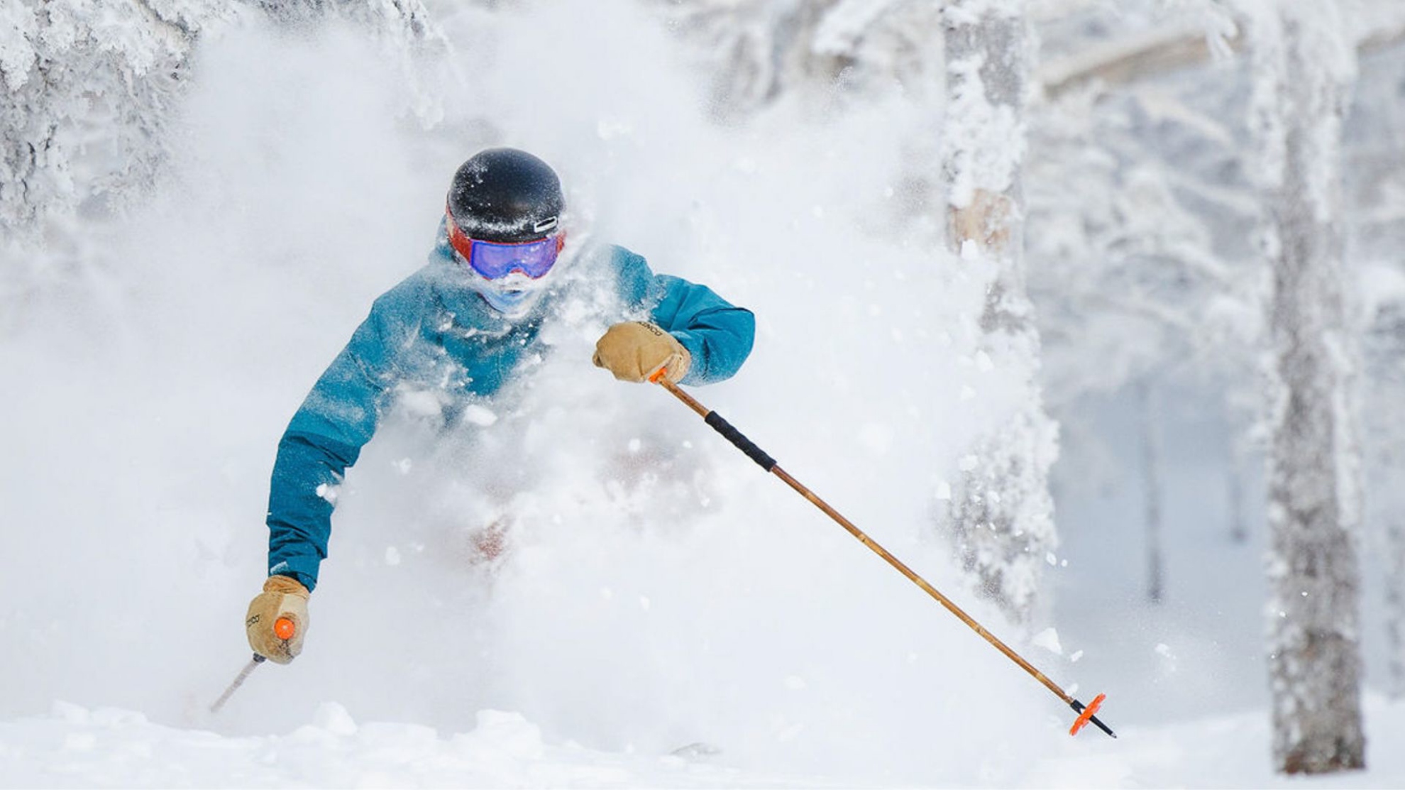 Picture of 25-26 | Midweek Season Pass Sale